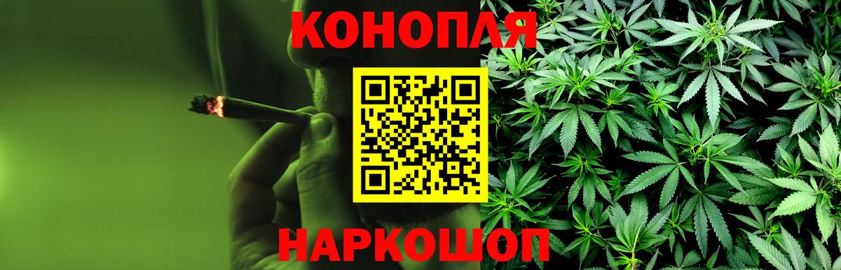 Канабис индика Отрадный